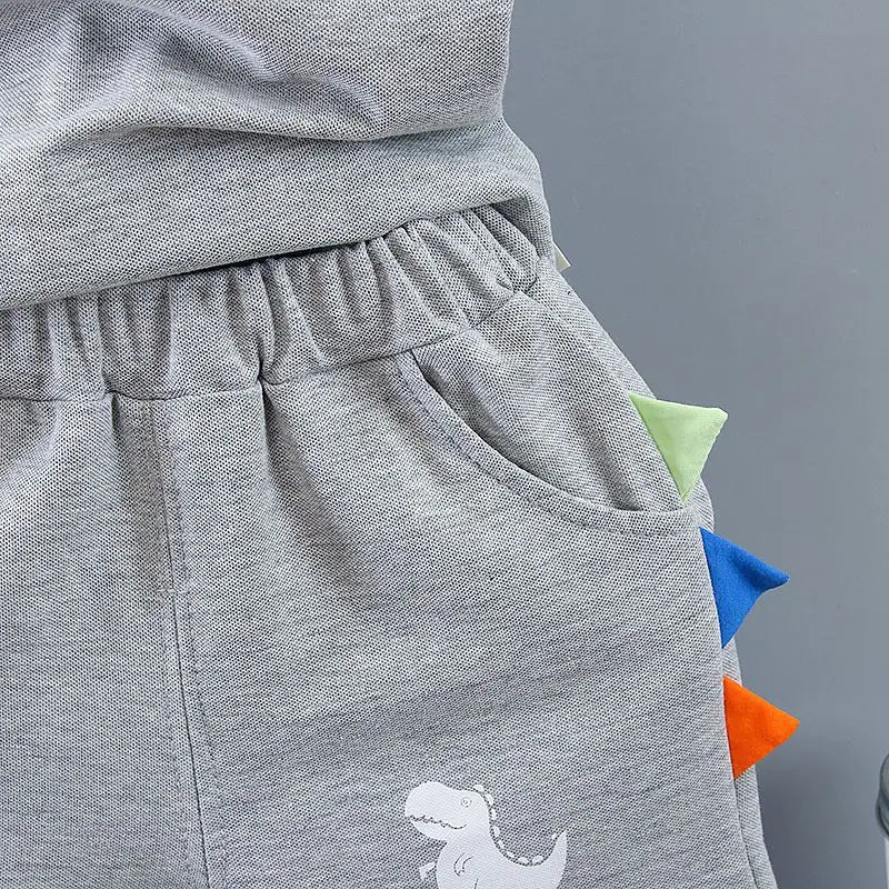 Ensembles pour bébés 2 pièce de 9 à 12 mois imprimes dinosaures